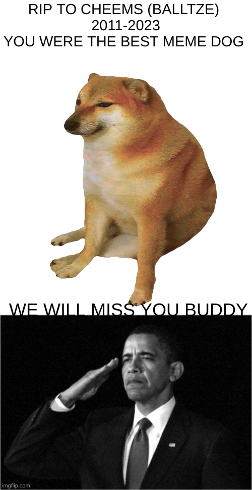 rest in peace | RIP TO CHEEMS (BALLTZE) 
2011-2023
YOU WERE THE BEST MEME DOG; WE WILL MISS YOU BUDDY | image tagged in cheems,obama-salute | made w/ Imgflip meme maker