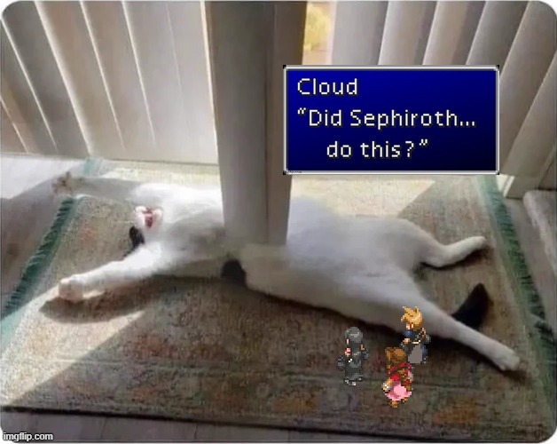 Quelle Horreur! | image tagged in sephiroth,final fantasy 7,cat | made w/ Imgflip meme maker