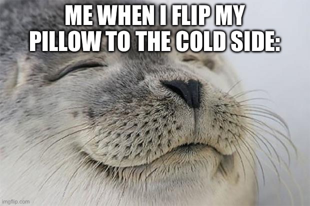 Satisfied Seal | ME WHEN I FLIP MY PILLOW TO THE COLD SIDE: | image tagged in memes,satisfied seal | made w/ Imgflip meme maker
