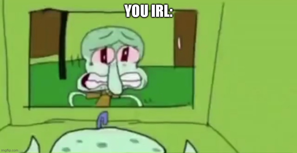 Squidward crying in the bathroom | YOU IRL: | image tagged in squidward crying in the bathroom | made w/ Imgflip meme maker