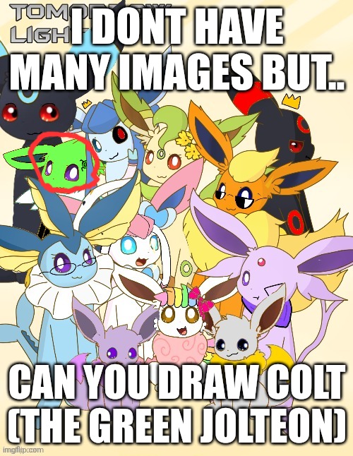owned by liamsworld, i think itd be cool if u drew him :3 (male btw) | I DONT HAVE MANY IMAGES BUT.. CAN YOU DRAW COLT (THE GREEN JOLTEON) | image tagged in eeveelution squad on imgflip | made w/ Imgflip meme maker