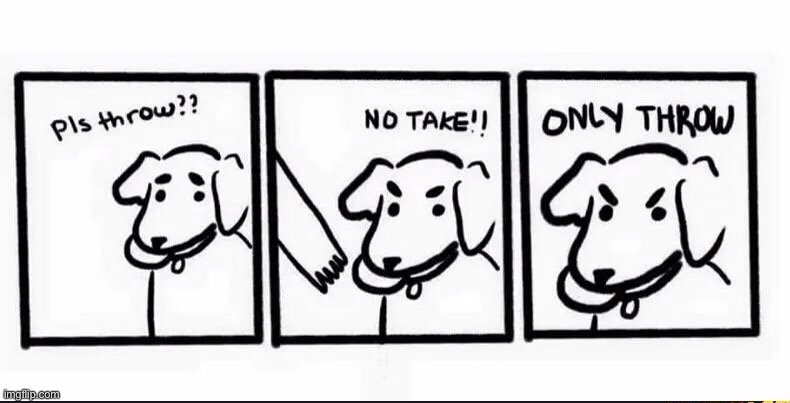 dog logic only throw | image tagged in dog logic only throw | made w/ Imgflip meme maker