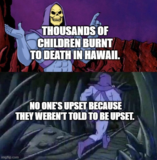 he man skeleton advices | THOUSANDS OF CHILDREN BURNT TO DEATH IN HAWAII. NO ONE'S UPSET BECAUSE THEY WEREN'T TOLD TO BE UPSET. | image tagged in he man skeleton advices | made w/ Imgflip meme maker