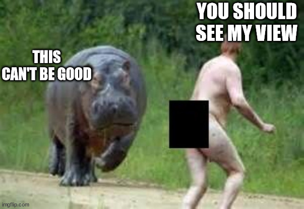 OOH   NOOO!  this didn't end well | YOU SHOULD SEE MY VIEW; THIS CAN'T BE GOOD | image tagged in hippo vs naked guy,thyat sucks,this cant be good,not from my view,uh oh | made w/ Imgflip meme maker