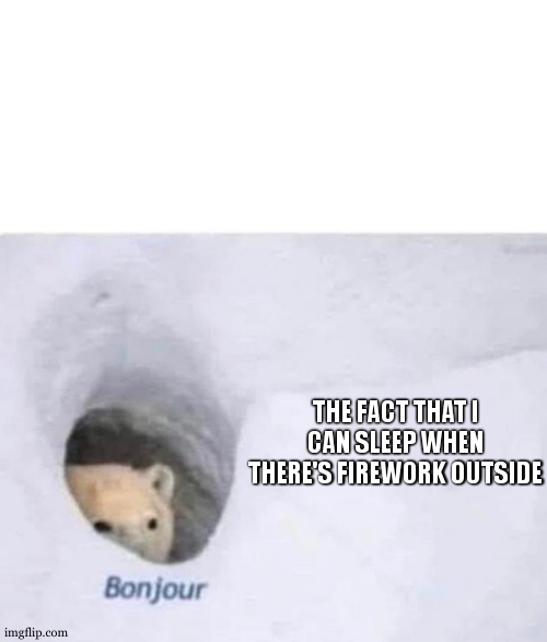 Bonjour | THE FACT THAT I CAN SLEEP WHEN THERE'S FIREWORK OUTSIDE | image tagged in bonjour | made w/ Imgflip meme maker