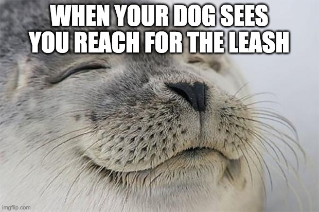 I used AI for the first time | WHEN YOUR DOG SEES YOU REACH FOR THE LEASH | image tagged in memes,satisfied seal | made w/ Imgflip meme maker