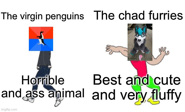 Virgin vs Chad | The chad furries; The virgin penguins; Best and cute and very fluffy; Horrible and ass animal | image tagged in virgin vs chad | made w/ Imgflip meme maker
