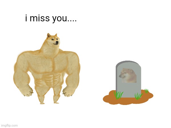 buff doge miss a old friend | i miss you.... | image tagged in funny,memes,dogs,buff doge vs cheems | made w/ Imgflip meme maker
