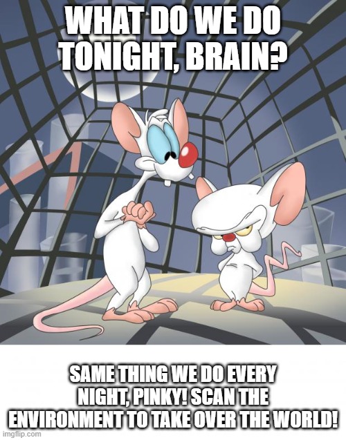 Environmental Scan | WHAT DO WE DO TONIGHT, BRAIN? SAME THING WE DO EVERY NIGHT, PINKY! SCAN THE ENVIRONMENT TO TAKE OVER THE WORLD! | image tagged in pinky and the brain | made w/ Imgflip meme maker