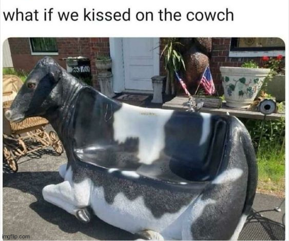 Cowches are very comfortable | image tagged in memes,funny | made w/ Imgflip meme maker