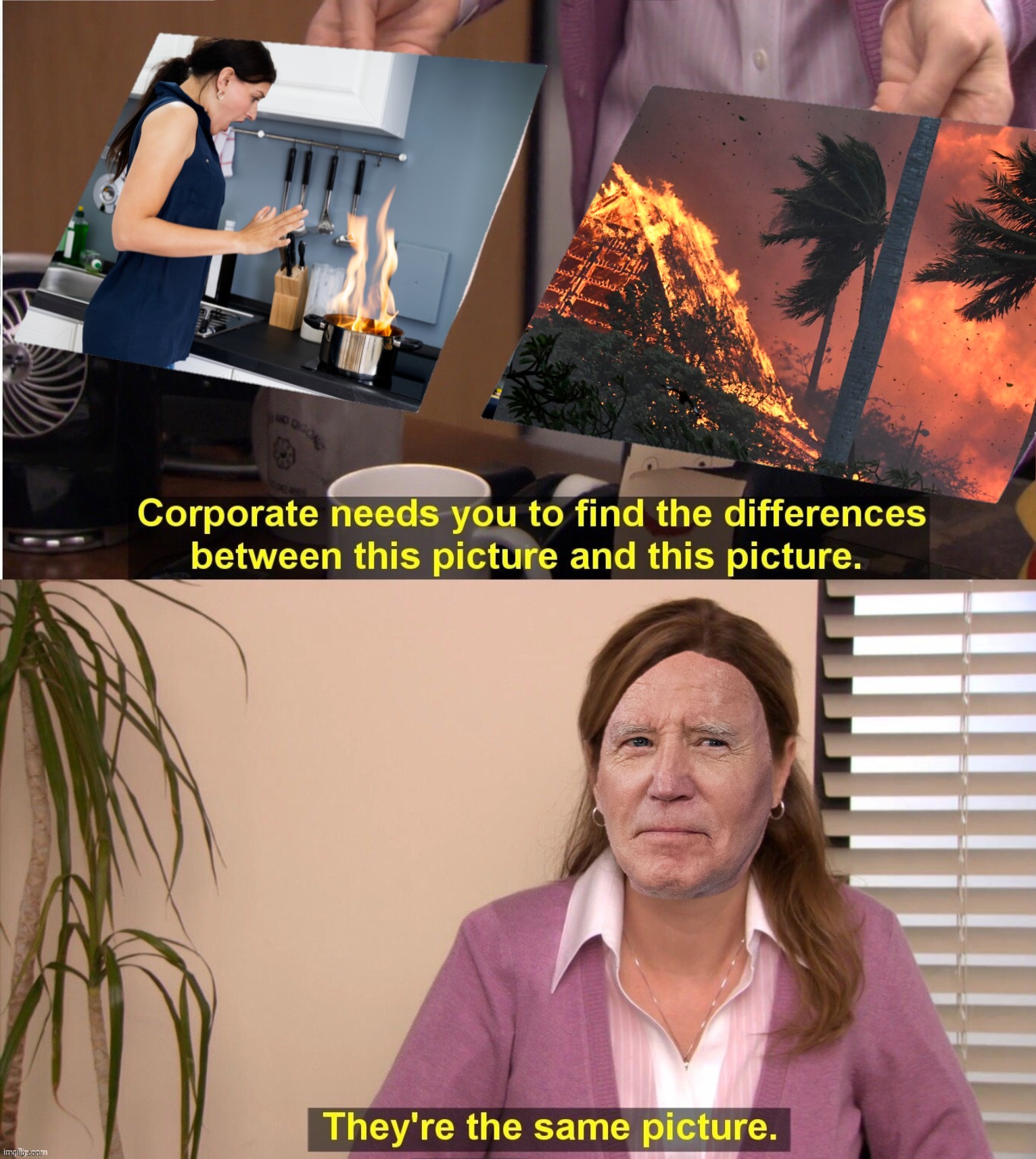 When you almost lost your car and your cat to a small, confined fire...oh, and your wife | image tagged in bad photoshop,joe biden,they're the same picture,maui fire,fire | made w/ Imgflip meme maker