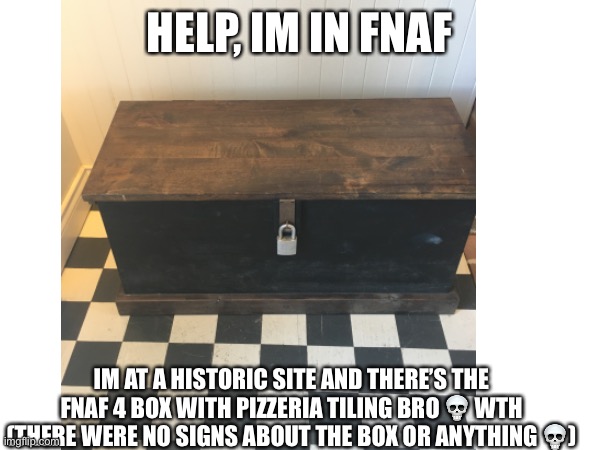 Freddy fazbear gonna kill me :’) | HELP, IM IN FNAF; IM AT A HISTORIC SITE AND THERE’S THE FNAF 4 BOX WITH PIZZERIA TILING BRO 💀 WTH (THERE WERE NO SIGNS ABOUT THE BOX OR ANYTHING 💀) | image tagged in funny memes,crazy,fnaf | made w/ Imgflip meme maker