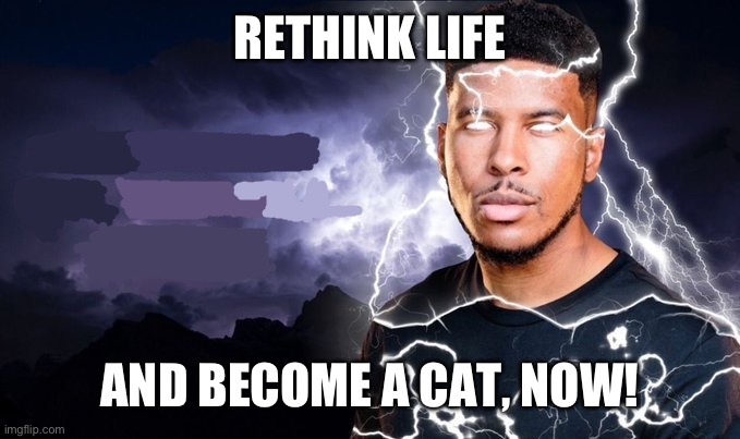 You should kill yourself NOW! | RETHINK LIFE AND BECOME A CAT, NOW! | image tagged in you should kill yourself now | made w/ Imgflip meme maker