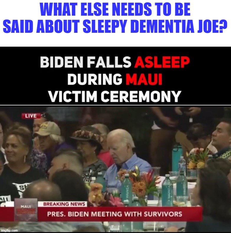 Emblematic of the Brandon Administration (again...) | WHAT ELSE NEEDS TO BE SAID ABOUT SLEEPY DEMENTIA JOE? | image tagged in liberal hypocrisy,liberal media,liberal logic,hollywood liberals,stupid liberals,biden | made w/ Imgflip meme maker