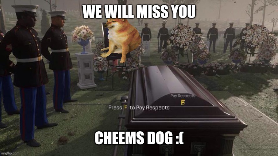 Press F to Pay Respects | WE WILL MISS YOU; CHEEMS DOG :( | image tagged in press f to pay respects | made w/ Imgflip meme maker
