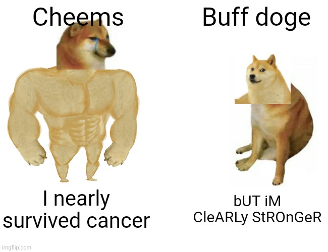 To the best meme, rest in peace | Cheems; Buff doge; I nearly survived cancer; bUT iM CleARLy StROnGeR | image tagged in memes,buff doge vs cheems | made w/ Imgflip meme maker