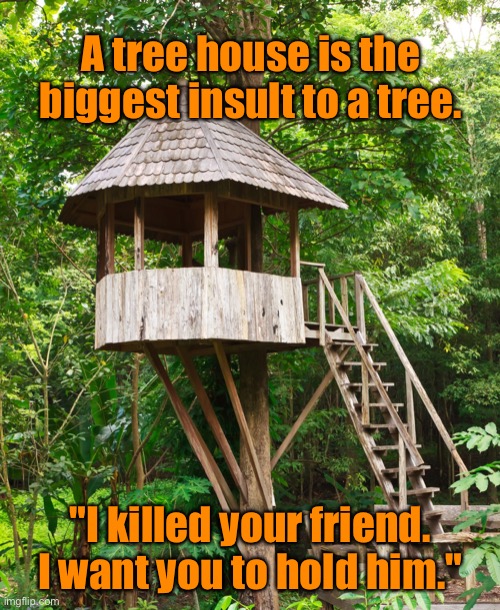 Insult to a tree | A tree house is the biggest insult to a tree. "I killed your friend. I want you to hold him." | image tagged in tree house,big insult to tree,killed your friend,now want you,to hold him,fun | made w/ Imgflip meme maker