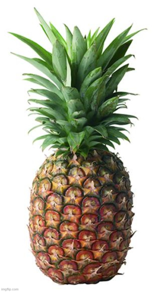 pineapple | image tagged in pineapple | made w/ Imgflip meme maker