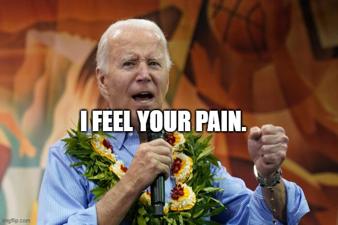 Hawaii | I FEEL YOUR PAIN. | image tagged in hawaii | made w/ Imgflip meme maker