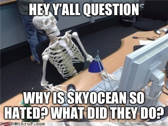 Skeleton Computer | HEY Y’ALL QUESTION; WHY IS SKYOCEAN SO HATED? WHAT DID THEY DO? | image tagged in skeleton computer | made w/ Imgflip meme maker