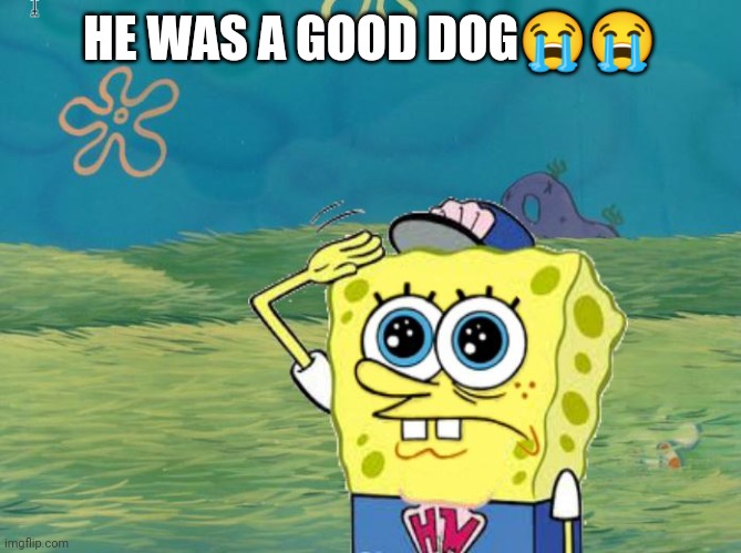 Spongebob salute | HE WAS A GOOD DOG😭😭 | image tagged in spongebob salute | made w/ Imgflip meme maker