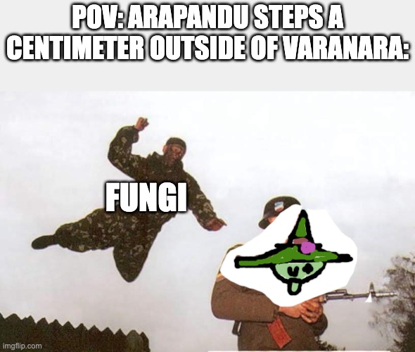 Attack | POV: ARAPANDU STEPS A CENTIMETER OUTSIDE OF VARANARA:; FUNGI | image tagged in attack,genshin impact | made w/ Imgflip meme maker