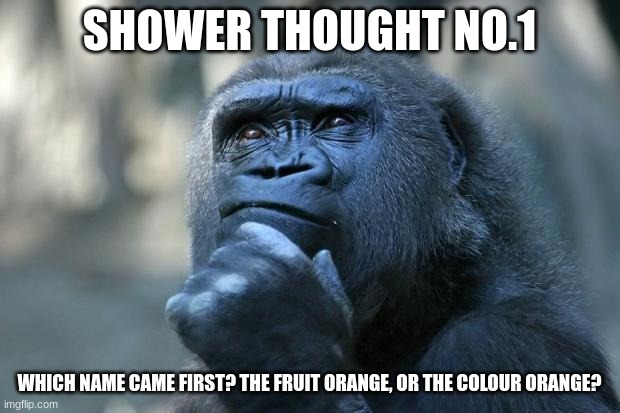 Shower thought No.1 | SHOWER THOUGHT NO.1; WHICH NAME CAME FIRST? THE FRUIT ORANGE, OR THE COLOUR ORANGE? | image tagged in deep thoughts | made w/ Imgflip meme maker