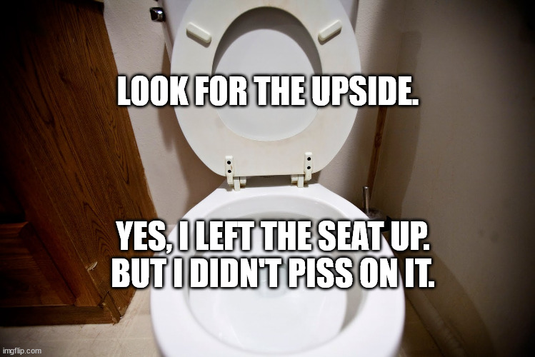 Try to focus on the positive, huh? | LOOK FOR THE UPSIDE. YES, I LEFT THE SEAT UP.
BUT I DIDN'T PISS ON IT. | image tagged in toilet seat up | made w/ Imgflip meme maker