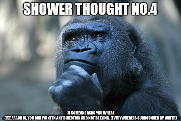 Shower thought No.4 | SHOWER THOUGHT NO.4; IF SOMEONE ASKS YOU WHERE THE BEACH IS, YOU CAN POINT IN ANY DIRECTION AND NOT BE LYING. (EVERYWHERE IS SURROUNDED BY WATER) | image tagged in deep thoughts | made w/ Imgflip meme maker