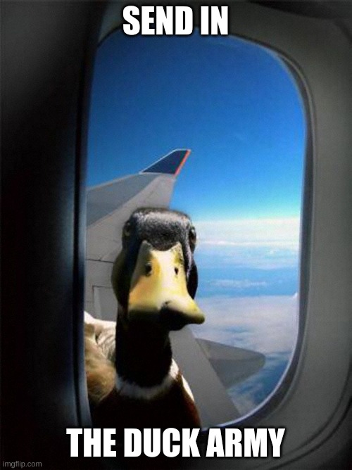 Airplane Duck | SEND IN THE DUCK ARMY | image tagged in airplane duck | made w/ Imgflip meme maker