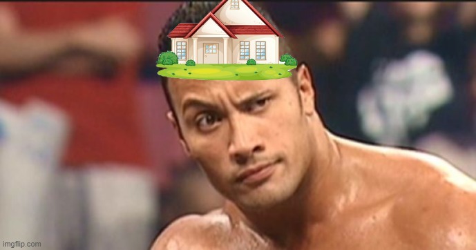 The Rock Eyebrow | image tagged in the rock eyebrow | made w/ Imgflip meme maker