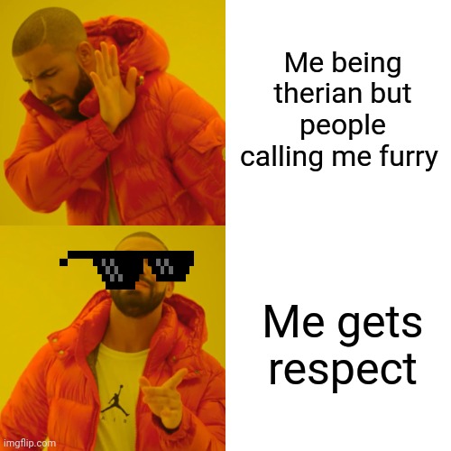Drake Hotline Bling Meme | Me being therian but people calling me furry; Me gets respect | image tagged in memes,drake hotline bling | made w/ Imgflip meme maker