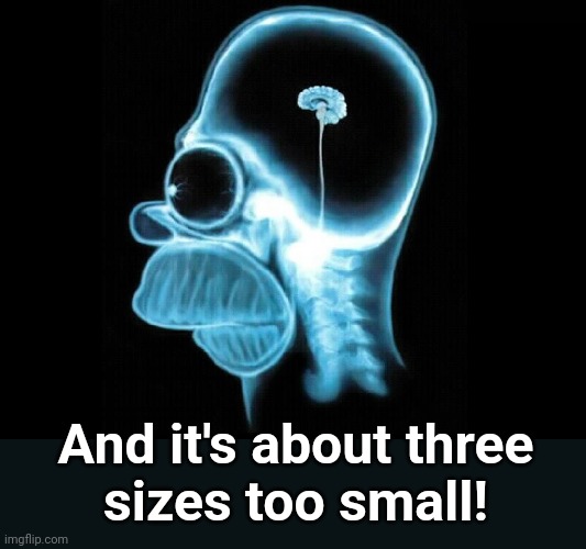 And it's about three
sizes too small! | made w/ Imgflip meme maker