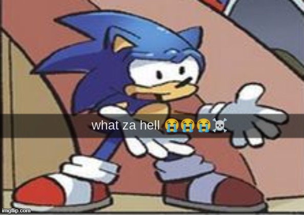sonic what za hell | image tagged in sonic what za hell | made w/ Imgflip meme maker