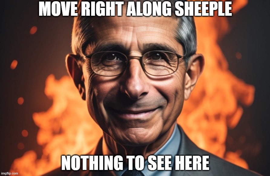 MOVE RIGHT ALONG SHEEPLE NOTHING TO SEE HERE | made w/ Imgflip meme maker