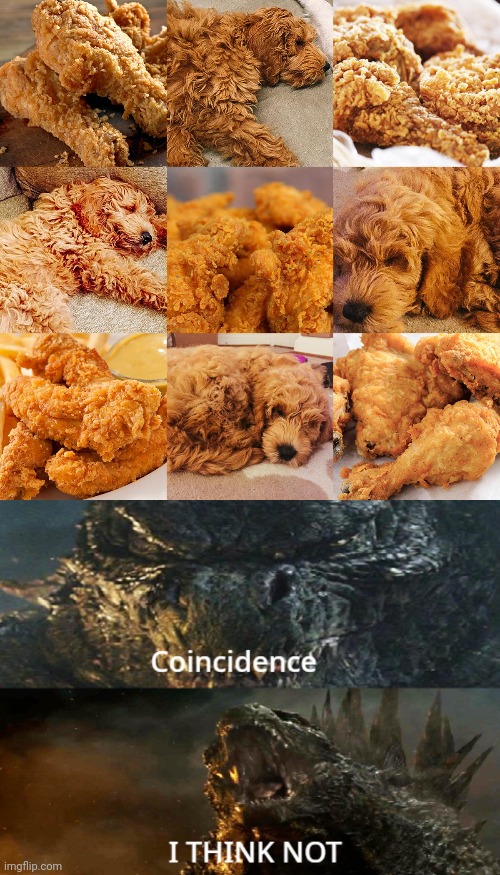Dog Fried chicken lookalike | image tagged in godzilla 2014 coincidence i think not,dog,fried chicken,lookalike,dogs,memes | made w/ Imgflip meme maker