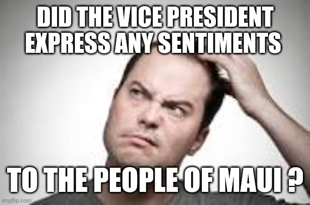 I heard nary a cackle | DID THE VICE PRESIDENT EXPRESS ANY SENTIMENTS; TO THE PEOPLE OF MAUI ? | image tagged in man scratching head,kamala harris,vice president,hawaii,maui,joe biden | made w/ Imgflip meme maker
