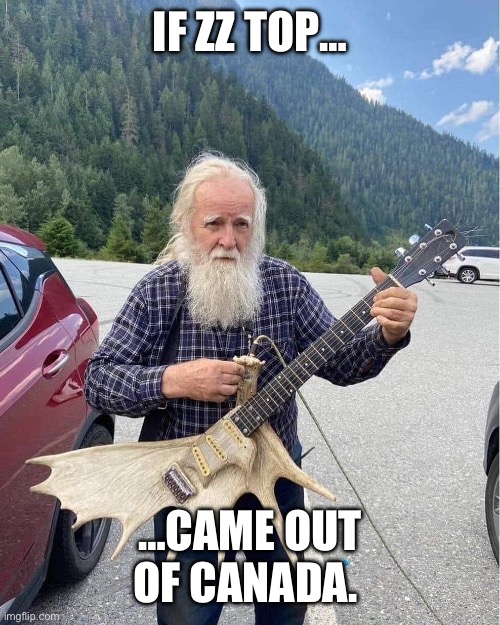 ZZ Top from Canada | IF ZZ TOP…; …CAME OUT OF CANADA. | image tagged in zz top,music,southern rock,rock,canada,moose | made w/ Imgflip meme maker