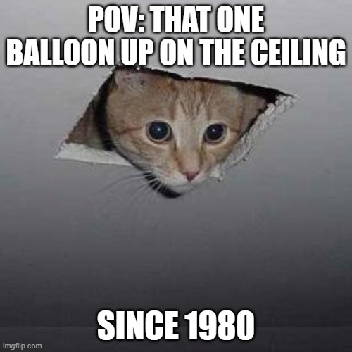 Hello? any one there? | POV: THAT ONE BALLOON UP ON THE CEILING; SINCE 1980 | image tagged in memes,ceiling cat | made w/ Imgflip meme maker