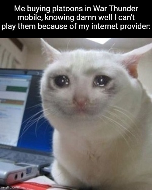 Yep- | Me buying platoons in War Thunder mobile, knowing damn well I can't play them because of my internet provider: | image tagged in crying cat | made w/ Imgflip meme maker