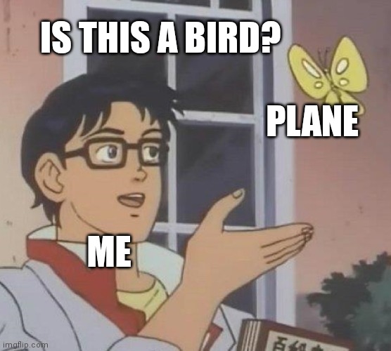 Is This A Pigeon | IS THIS A BIRD? PLANE; ME | image tagged in memes,is this a pigeon | made w/ Imgflip meme maker