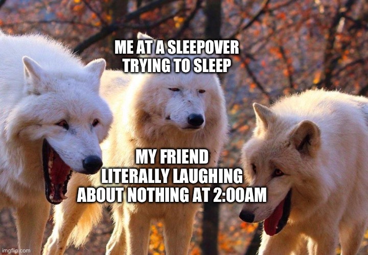 BRUH IM TRYING TO SLEEP SHUT UP | ME AT A SLEEPOVER TRYING TO SLEEP; MY FRIEND LITERALLY LAUGHING ABOUT NOTHING AT 2:00AM | image tagged in 2/3 wolves laugh | made w/ Imgflip meme maker