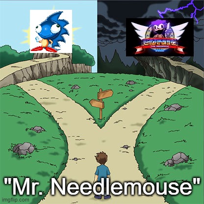 Two Paths | "Mr. Needlemouse" | image tagged in two paths | made w/ Imgflip meme maker