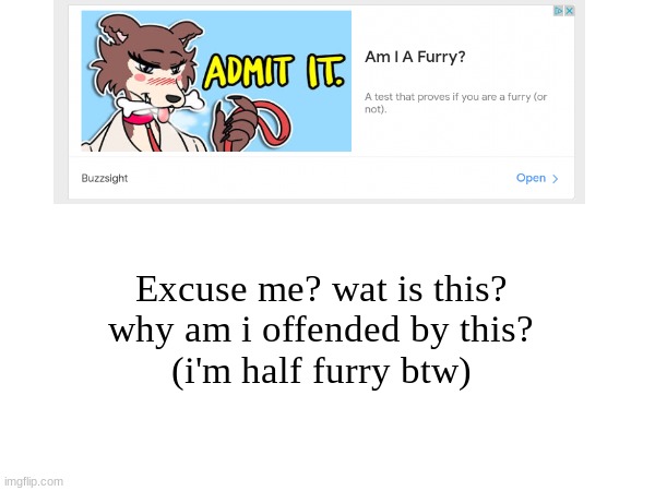 wat is this | Excuse me? wat is this?
why am i offended by this?

(i'm half furry btw) | image tagged in furry,ad,stop reading the tags | made w/ Imgflip meme maker