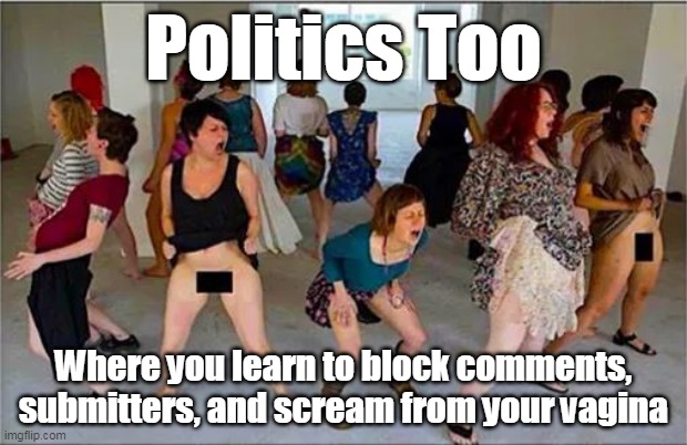The "SPACE, where no one can hear you scream" | Politics Too; Where you learn to block comments, submitters, and scream from your vagina | image tagged in pol too meme | made w/ Imgflip meme maker