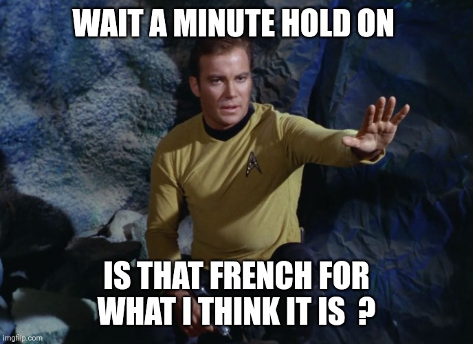 Kirk hand up | WAIT A MINUTE HOLD ON IS THAT FRENCH FOR WHAT I THINK IT IS  ? | image tagged in kirk hand up | made w/ Imgflip meme maker
