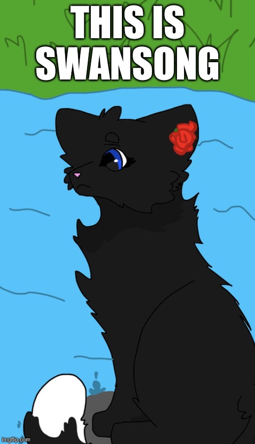 my warrior cat OC | THIS IS SWANSONG | image tagged in warrior cats,swan | made w/ Imgflip meme maker