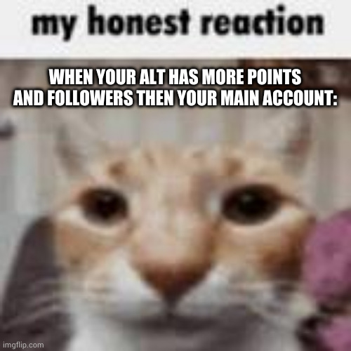 This is true for me,actually | WHEN YOUR ALT HAS MORE POINTS AND FOLLOWERS THEN YOUR MAIN ACCOUNT: | image tagged in my honest reaction | made w/ Imgflip meme maker