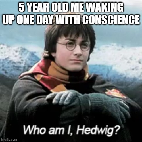 is this just me, or is this for everyone? | 5 YEAR OLD ME WAKING UP ONE DAY WITH CONSCIENCE | image tagged in who am i hedwig | made w/ Imgflip meme maker