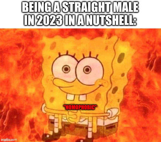 If you're straight this is the literal most relatable thing you'll see | BEING A STRAIGHT MALE IN 2023 IN A NUTSHELL:; "HOMOPHOBIC" | made w/ Imgflip meme maker